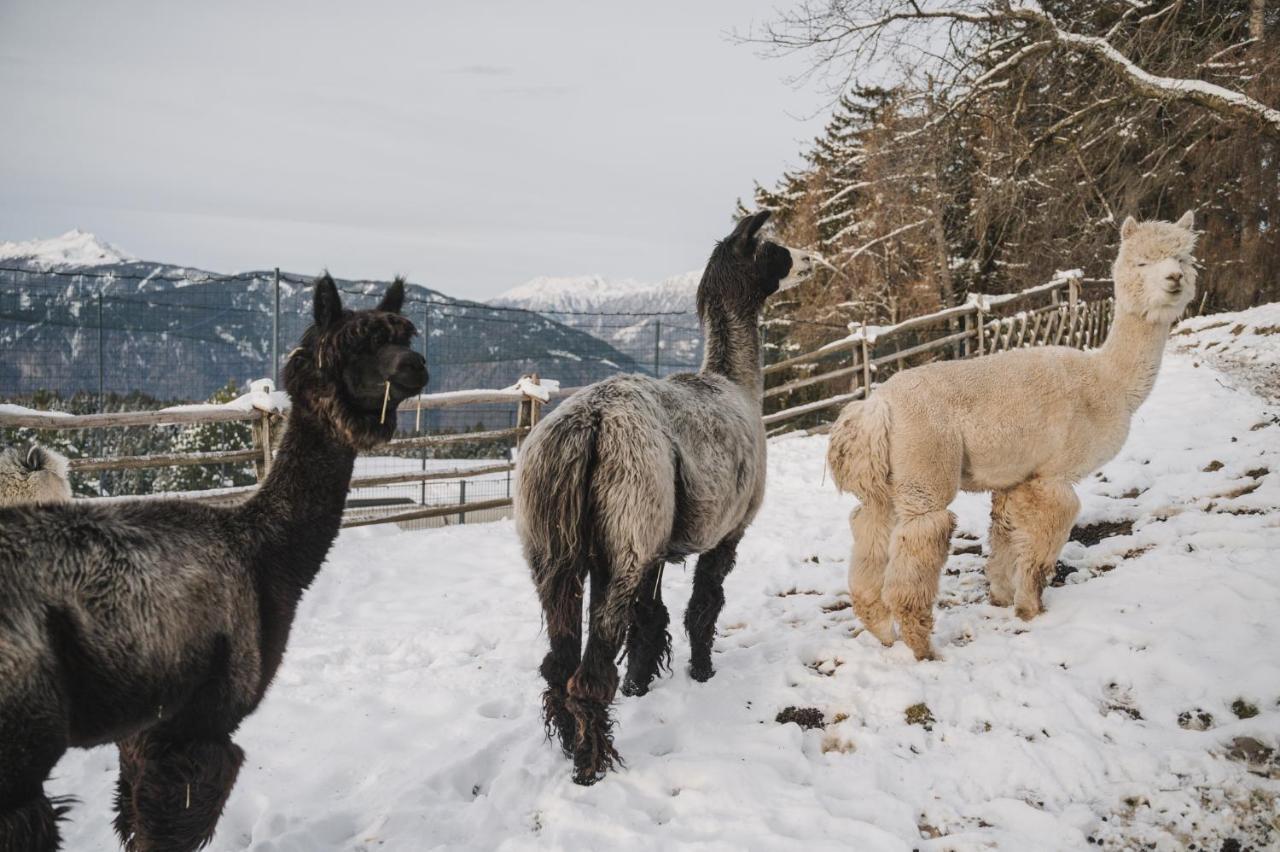 Hotel Chalet Mirabell アヴェレンゴ エクステリア 写真